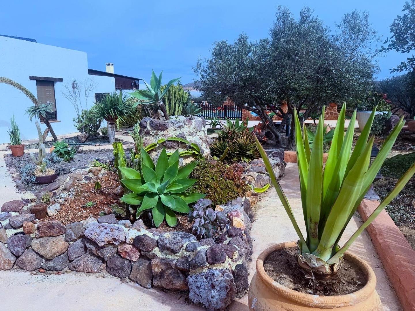 Olivares Rural Los Albaricoques Exteriér fotografie