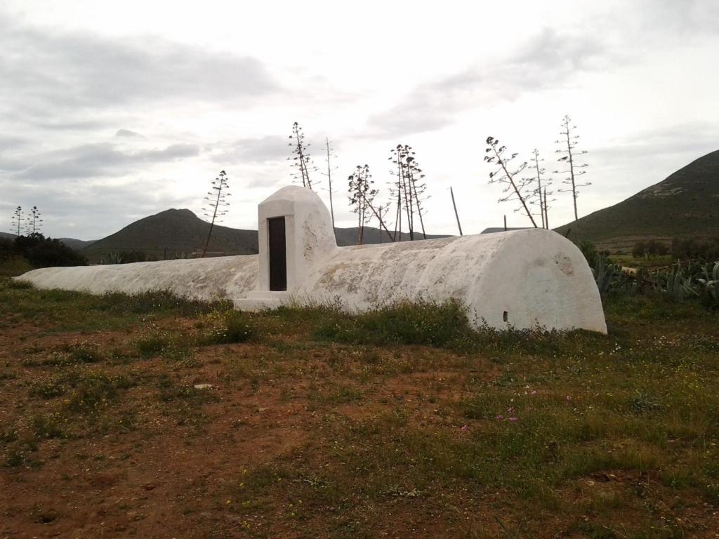 Olivares Rural Los Albaricoques Exteriér fotografie