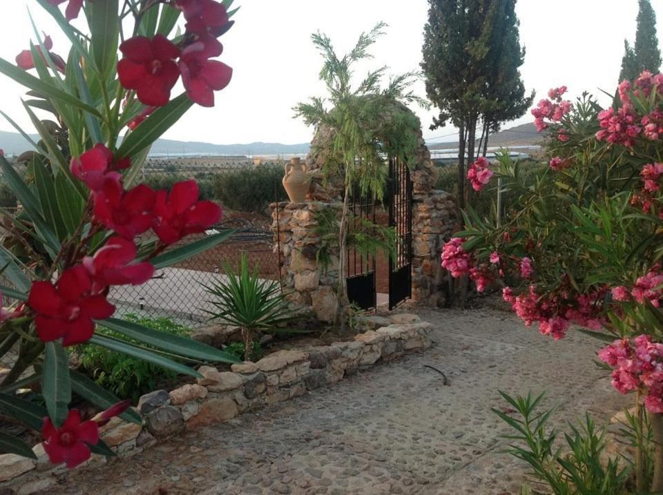 Olivares Rural Los Albaricoques Exteriér fotografie