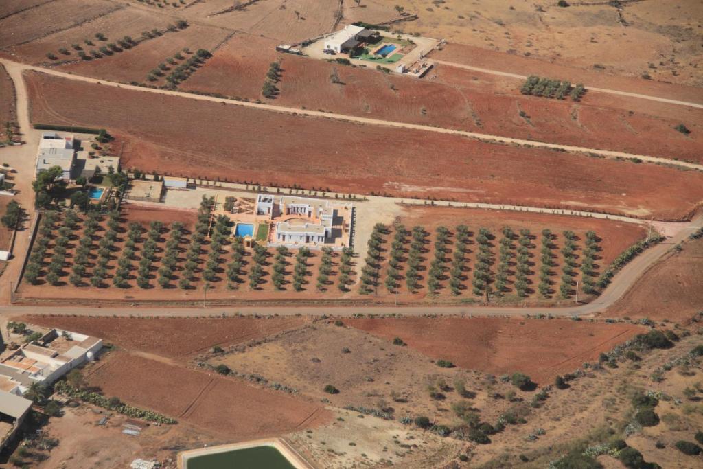 Olivares Rural Los Albaricoques Exteriér fotografie