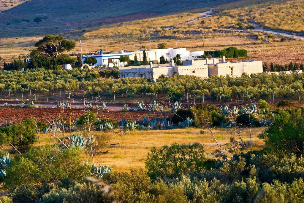 Olivares Rural Los Albaricoques Exteriér fotografie